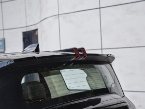 20221.5T DCT(q) (x)(ji)^