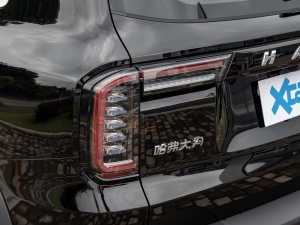 20221.5T DCTRȮ׷C β