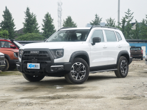 20222.0T DCT(q)A@Ȯ׷C ǰ45