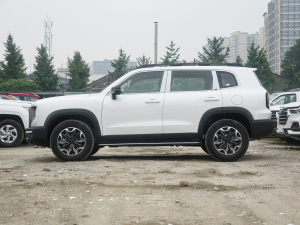 20222.0T DCT(q)A@Ȯ׷C (c)