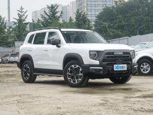 20222.0T DCT(q)A@Ȯ׷C ǰ45