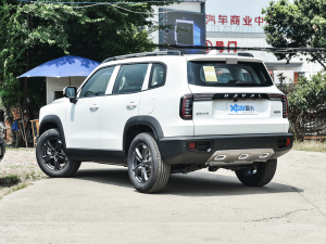 20221.5T DCT(q)ʿ 45