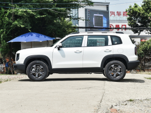 20221.5T DCT(q)ʿ (c)