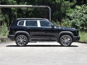 20221.5T DCTRȮ ȣң