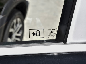 20221.5T DCT(q)RȮ (x)(ji)^