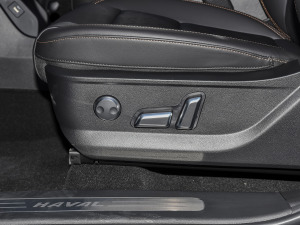 20221.5T DCT(q)RȮ {{(dio)(ji)