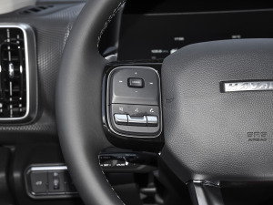 20221.5T DCTRȮ п؅^