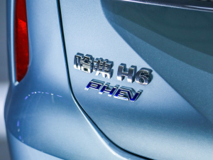 2023DHT-PHEV 110KM а ^