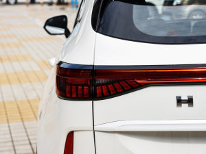 2023DHT-PHEV 110KM а ^