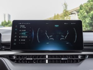 2023DHT-PHEV 110KM а g