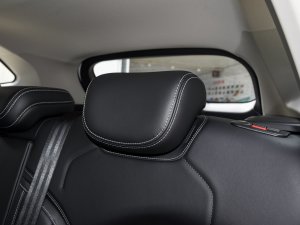 2023DHT-PHEV 110KM а g