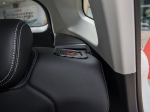 2023DHT-PHEV 110KM а g