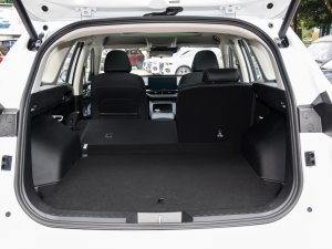 2023DHT-PHEV 110KM а g