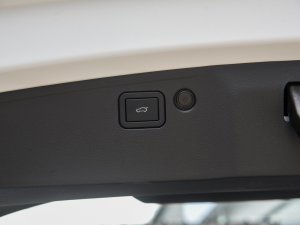 2023DHT-PHEV 110KM а g