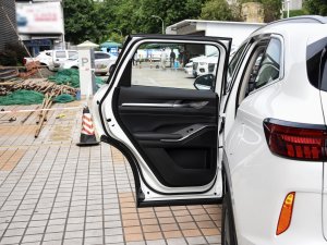 2023DHT-PHEV 110KM а ܇T