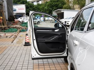 2023DHT-PHEV 110KM а {λ܇T