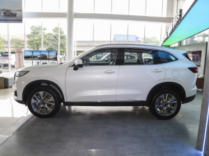 2023款DHT-PHEV 110KM 畅行版 正侧（左）