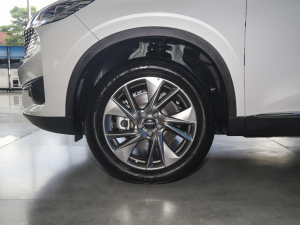 2023款DHT-PHEV 110KM 畅行版 轮圈