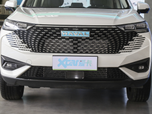 2023款DHT-PHEV 110KM 畅行版 中网