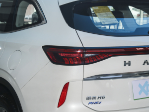 2023款DHT-PHEV 110KM 畅行版 尾灯