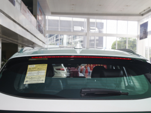 2023DHT-PHEV 110KM а ^