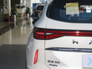 2023DHT-PHEV 110KM а ^