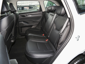 2023款DHT-PHEV 110KM 畅行版 后排座椅