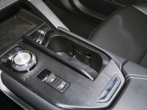 2023DHT-PHEV 110KM а ǰű