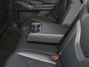 2023DHT-PHEV 110KM а 