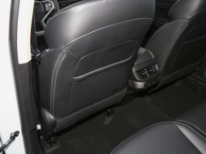 2023DHT-PHEV 110KM а g