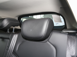 2023DHT-PHEV 110KM а g