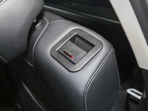 2023DHT-PHEV 110KM а g