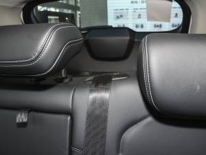 2023DHT-PHEV 110KM а g