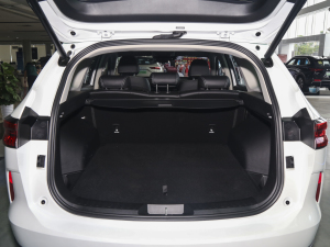 2023DHT-PHEV 110KM а g