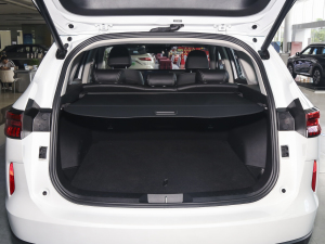 2023DHT-PHEV 110KM а g