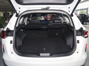 2023DHT-PHEV 110KM а g