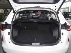 2023DHT-PHEV 110KM а g