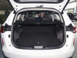 2023DHT-PHEV 110KM а g