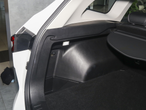 2023DHT-PHEV 110KM а g