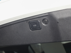 2023DHT-PHEV 110KM а g