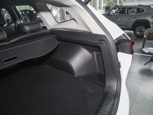 2023DHT-PHEV 110KM а g