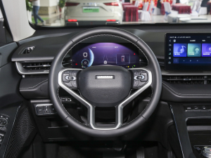 2023款DHT-PHEV 110KM 畅行版 方向盘