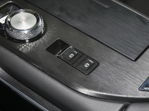 2023DHT-PHEV 110KM а v܇Ƅ