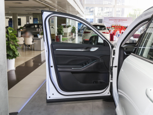 2023DHT-PHEV 110KM а {λ܇T