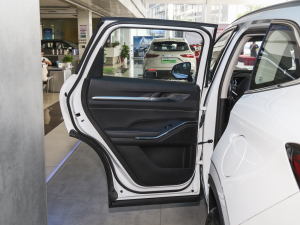 2023DHT-PHEV 110KM а ܇T