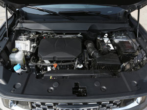 2023款2.0T 四驱潮野Plus 其它