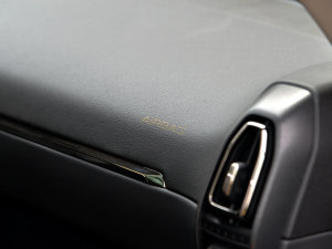 20232.0T 򌳱ҰPlus п؅^