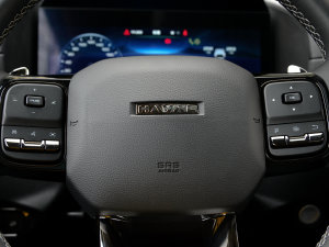 20232.0T (q)ҰPlus п؅^(q)