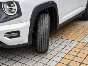 20232.0T 򌳱ҰPlus ^