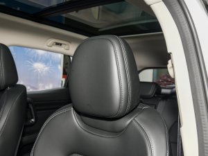 20232.0T (q)ҰPlus g